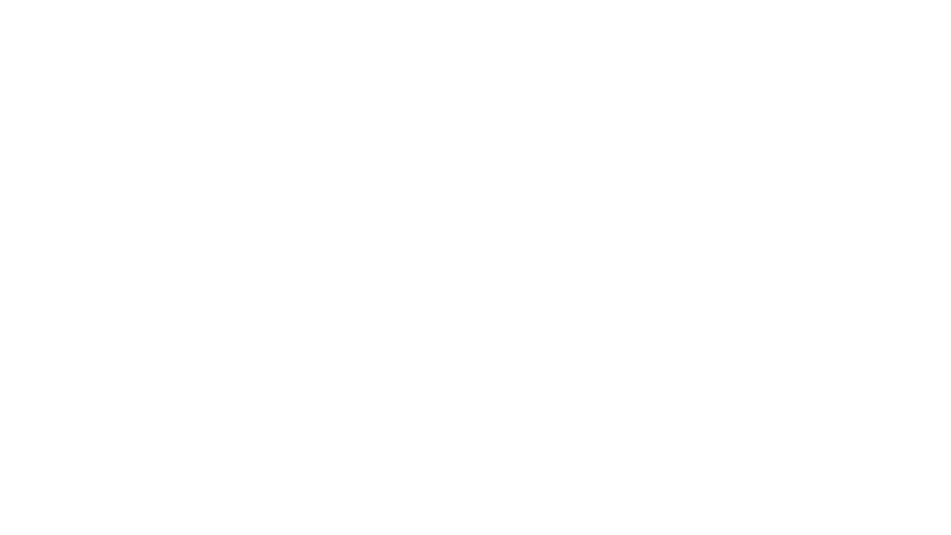 Holbein Technik Visual